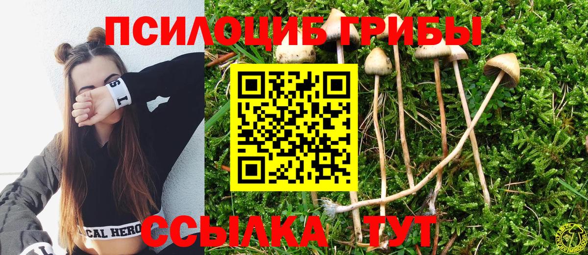Галлюциногенные грибы мухоморы Калач-на-Дону