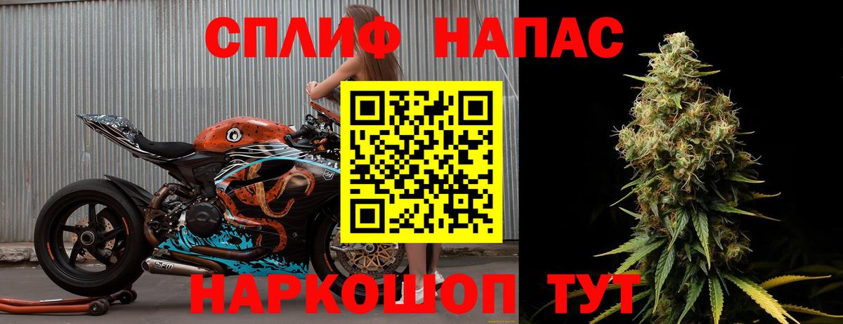Бошки Шишки гибрид Калач-на-Дону